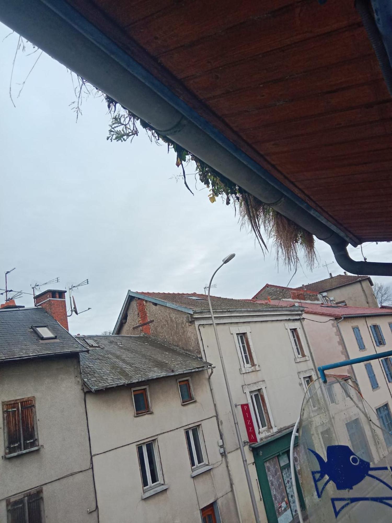 Hotel La Coquille D'Or Aixe-sur-Vienne Exterior foto
